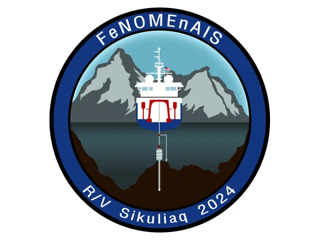 FeNOMENAlS Expedition Sticker Logo