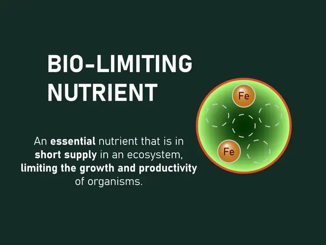 Limiting Nutrient